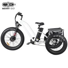 Hot Sale 24inch Fat Tyre Electric Tricycle 48V 500W